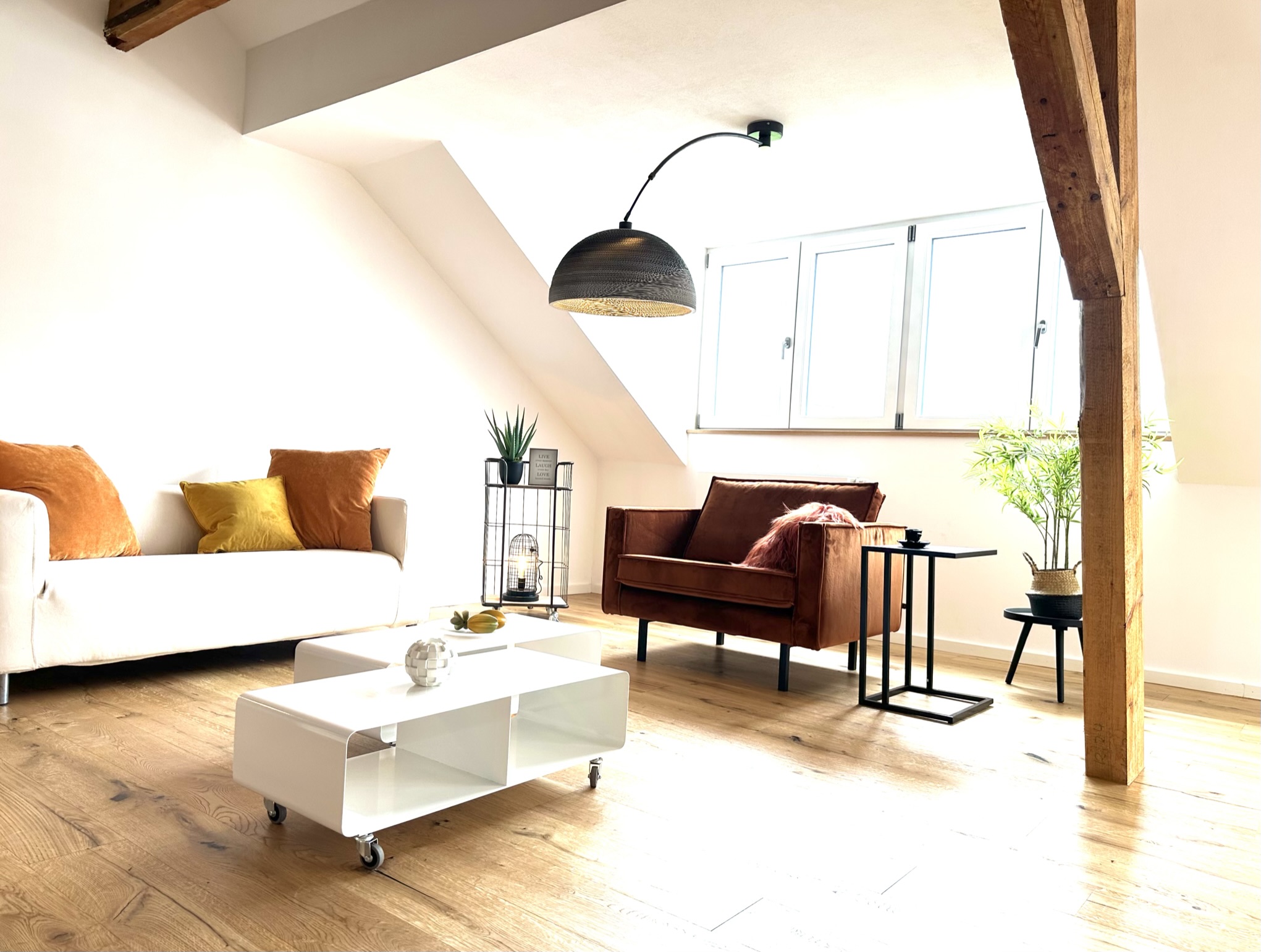 Home-Staging-Alexandra-Martin-Wohnen-Ist-Wohnzimmer.jpg
